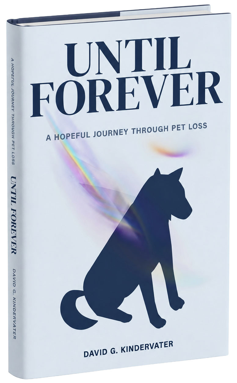 Until Forever Until Forever book cover